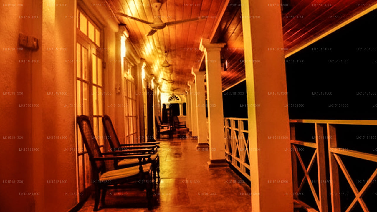 Forest Edge, Kithulgala