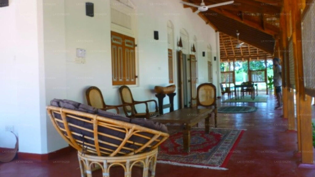 The Grove, Puttalam