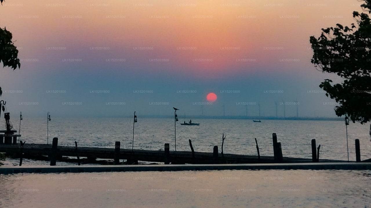 Aarya Lagoon, Kalpitiya