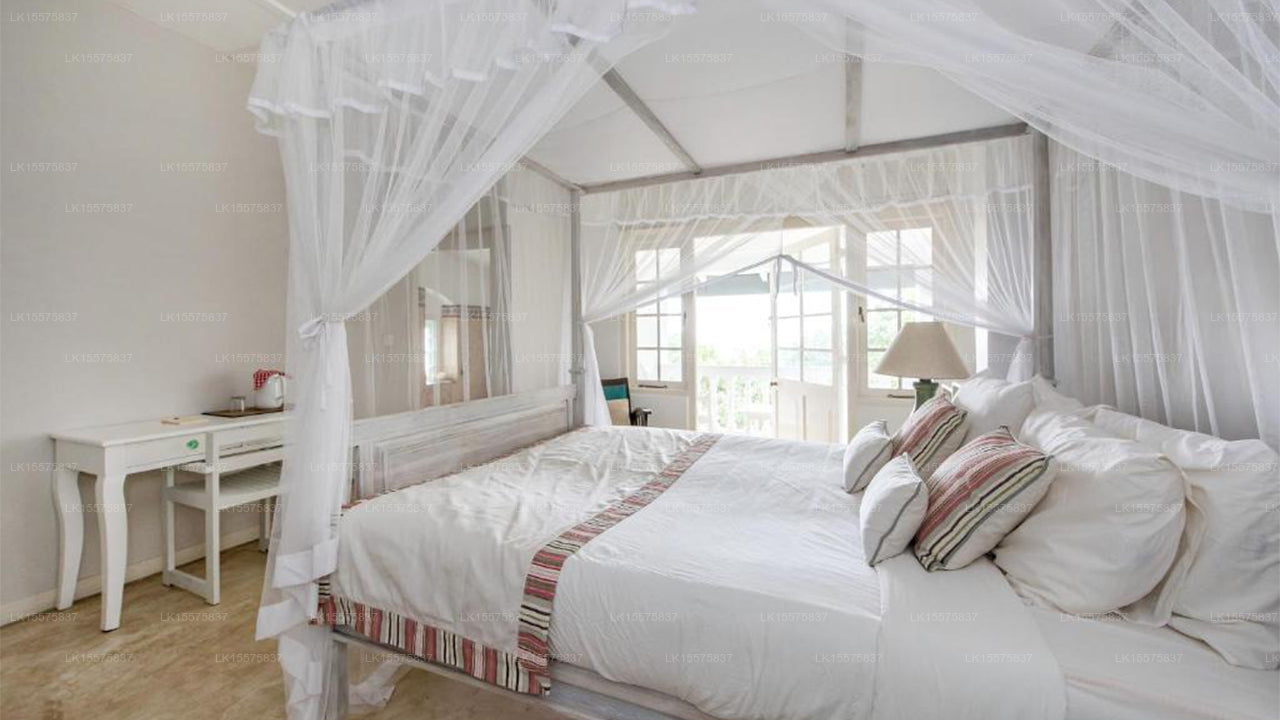 Ashburnham Estate, Kandy City