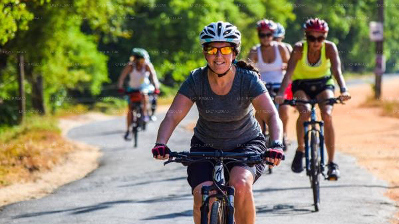 ගාල්ලෙන් බයිසිකල් කුලියට දීම