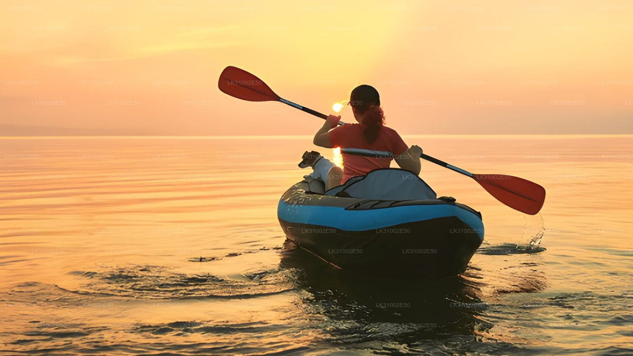 පාසිකුඩා සිට කලපු කයාකිං