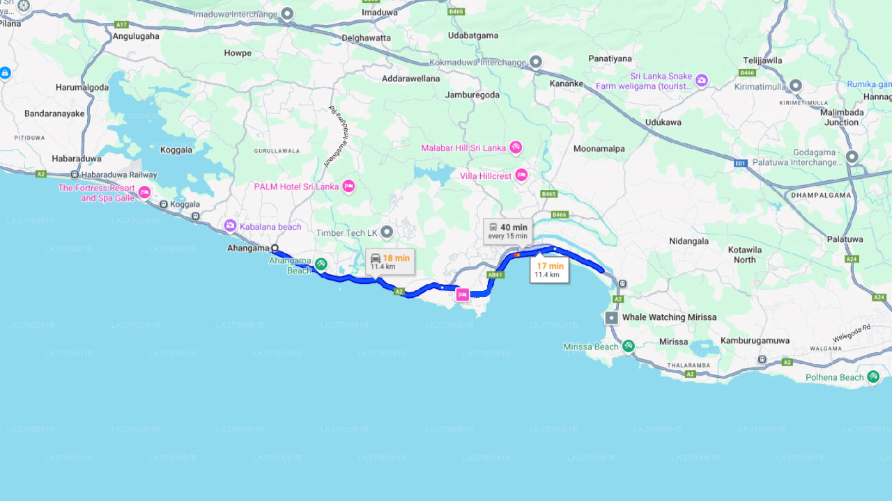 අහංගම සිට හවුල් බෝට්ටුවකින් තල්මසුන් නැරඹීම