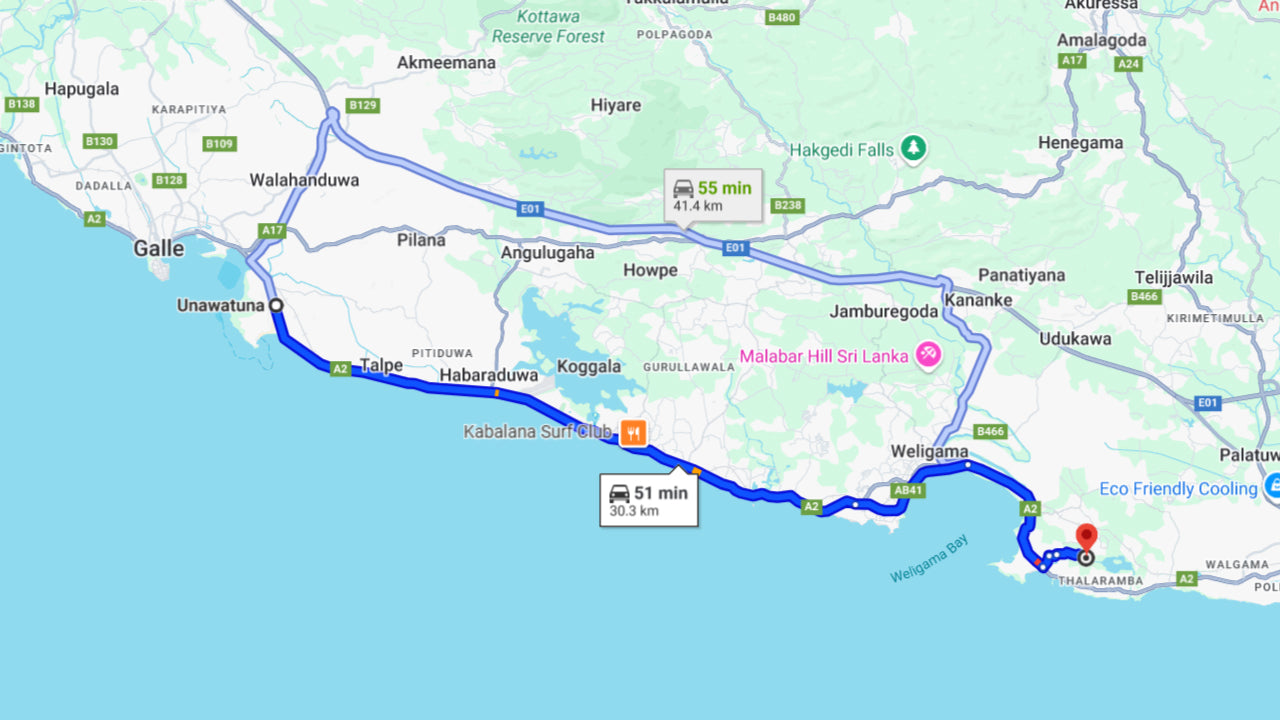 උණවටුන සිට හවුල් බෝට්ටුවකින් තල්මසුන් නැරඹීම.