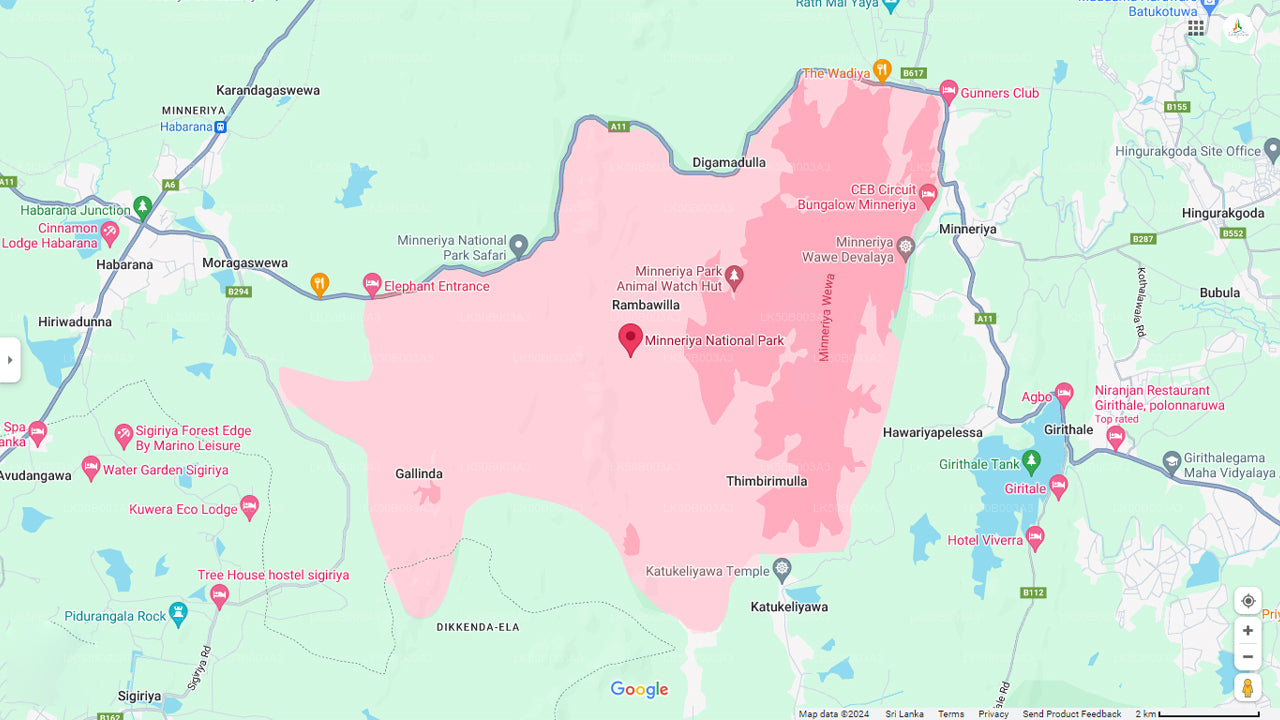 මින්නේරිය ජාතික වනෝද්යානය පුද්ගලික සෆාරි