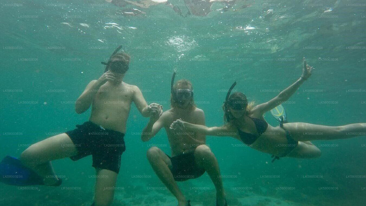 අහංගම සිට ස්නෝකර්ලිං