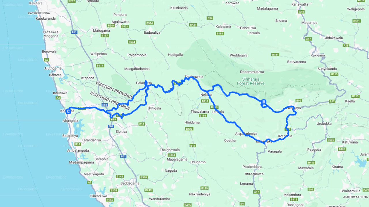 කොස්ගොඩ සිට සිංහරාජ වැසි වනාන්තර මාර්ගෝපදේශක චාරිකාව