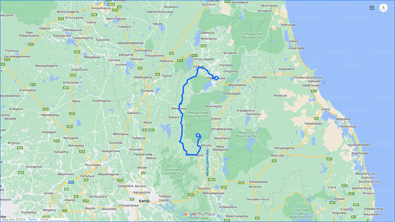 වස්ගමුව ජාතික වනෝද්යාන සෆාරි පොලොන්නරුවෙන්