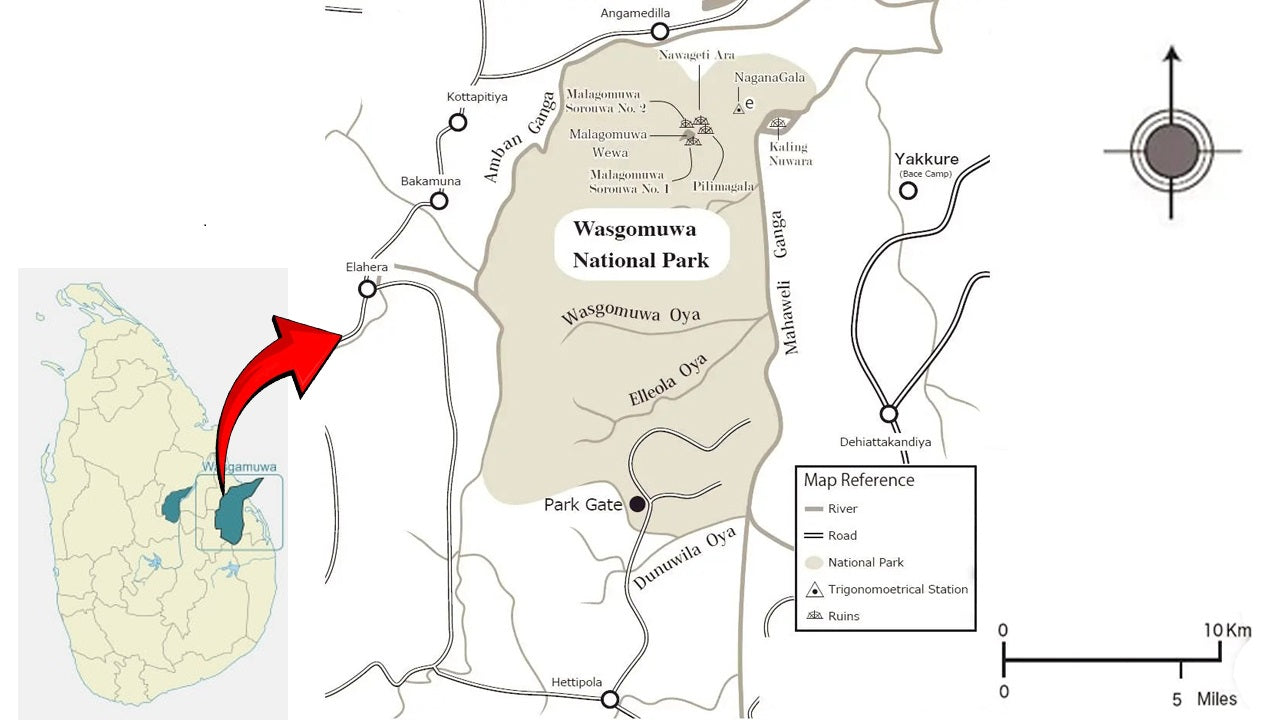 Wasgamuwa National Park Safari from Dambulla