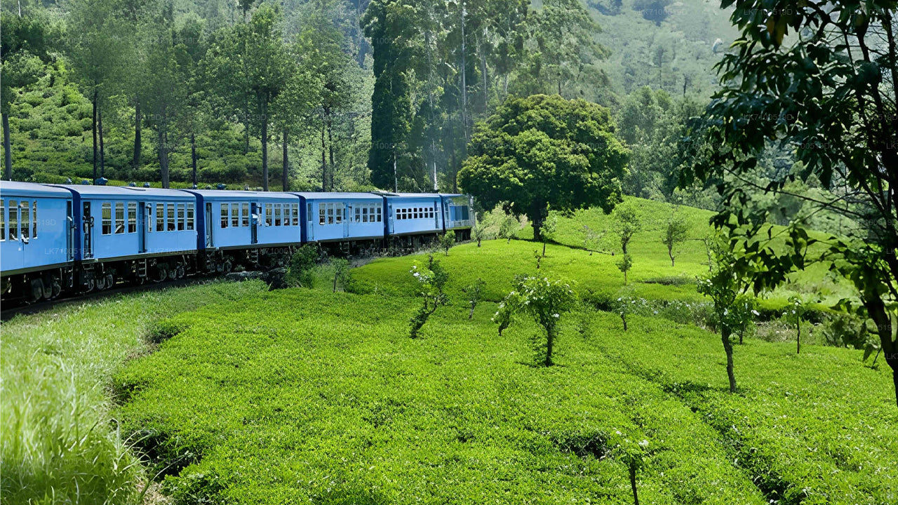 ඇල්ල සිට අඹේවෙල දක්වා දුම්රිය ගමන (දුම්රිය අංක 1005/1015)