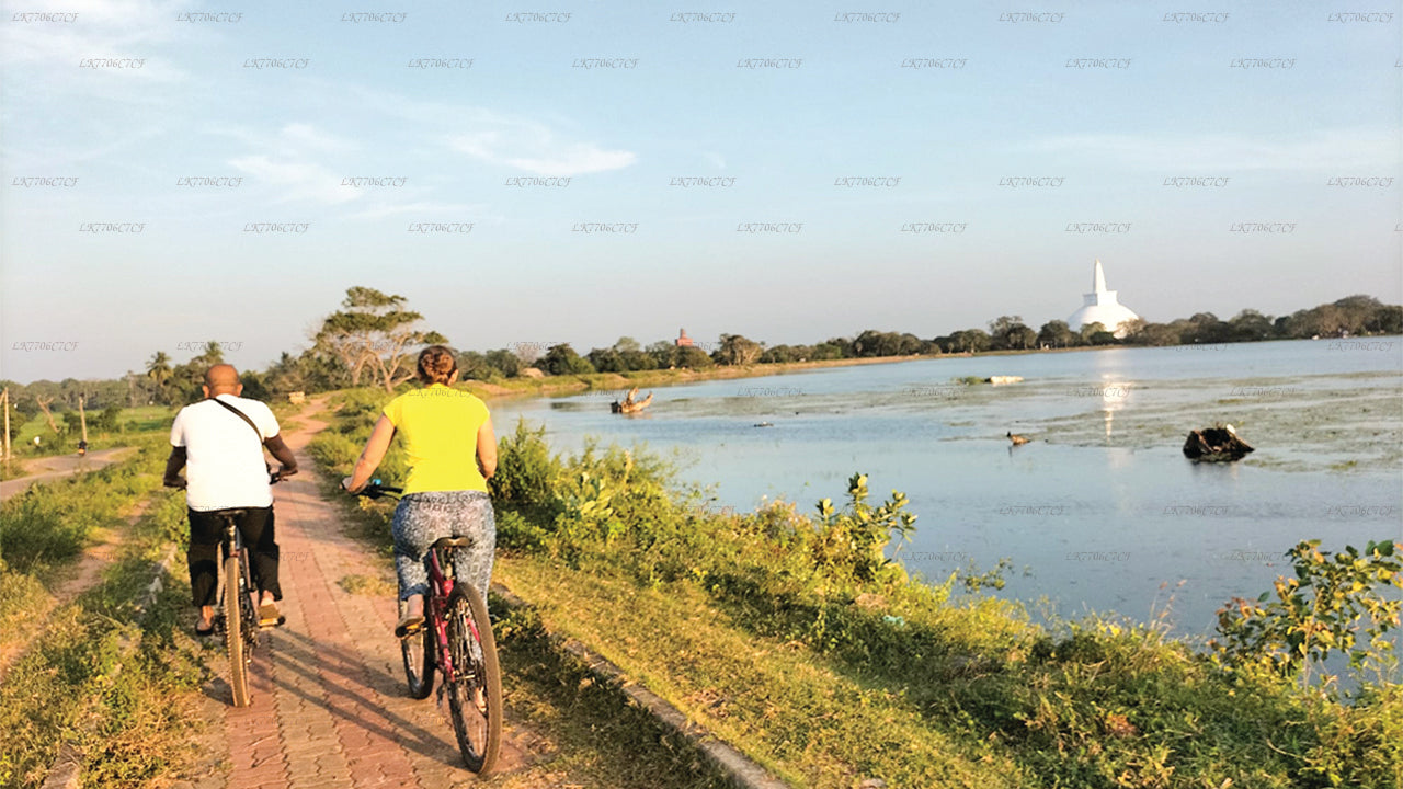 අනුරාධපුරයේ සිට බයිසිකල් පැදීම