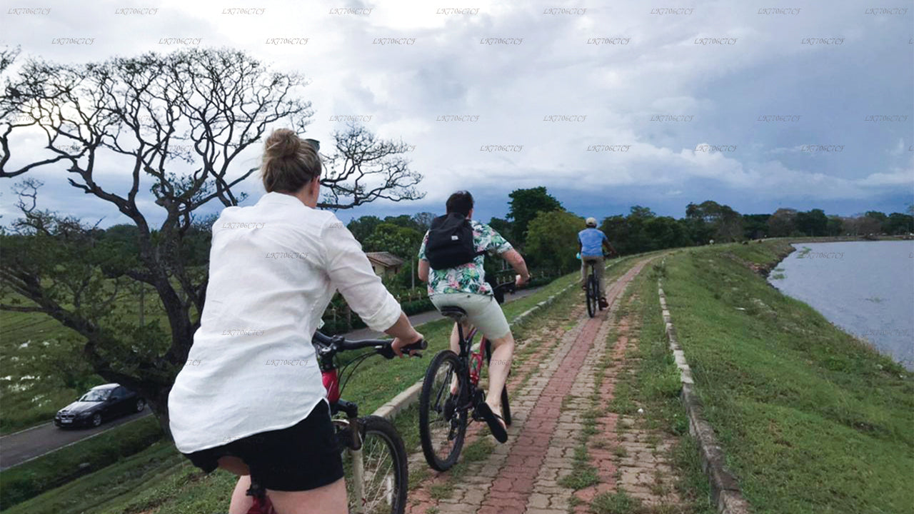 අනුරාධපුරයේ සිට බයිසිකල් පැදීම