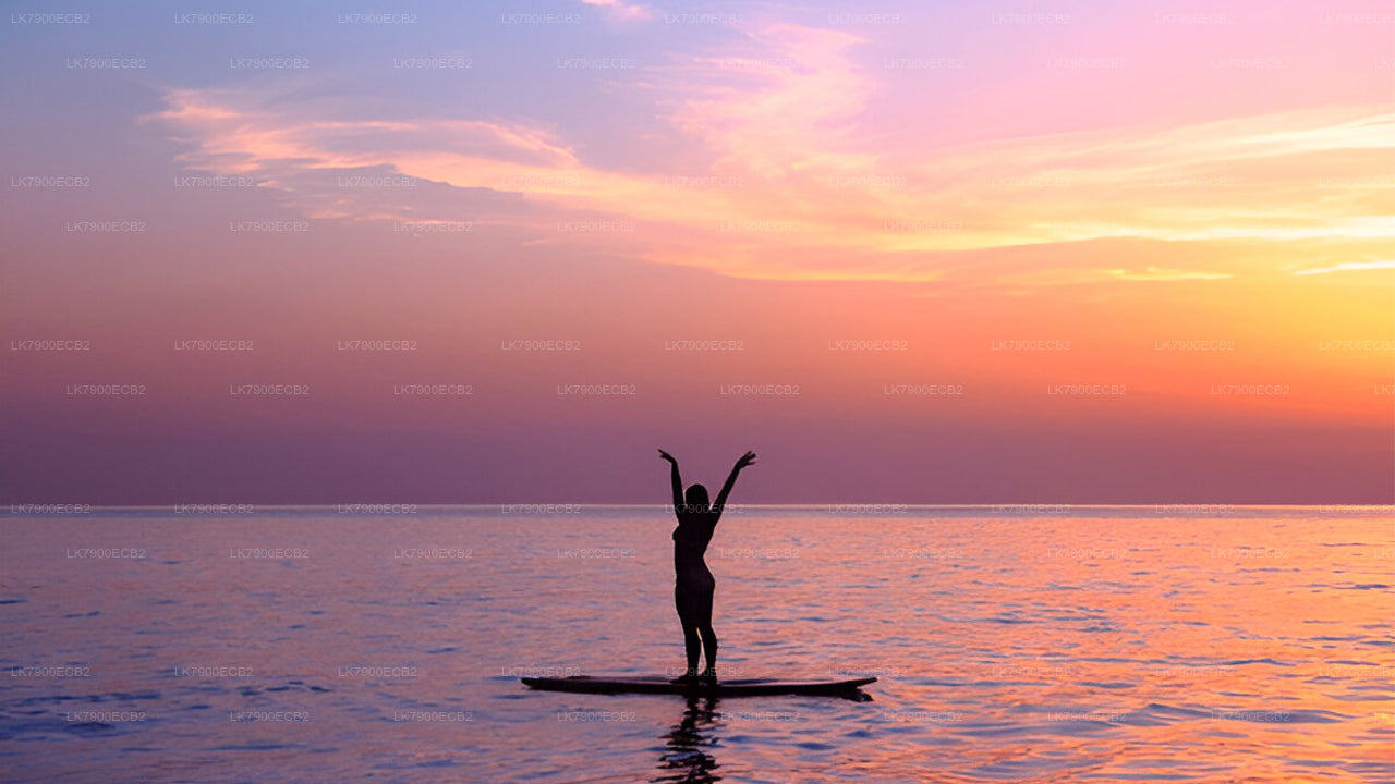 මිරිස්ස සිට ඕෂන් ඩයමන්ඩ් හි රාත්රී 6 ක කෲස් අත්දැකීමක්