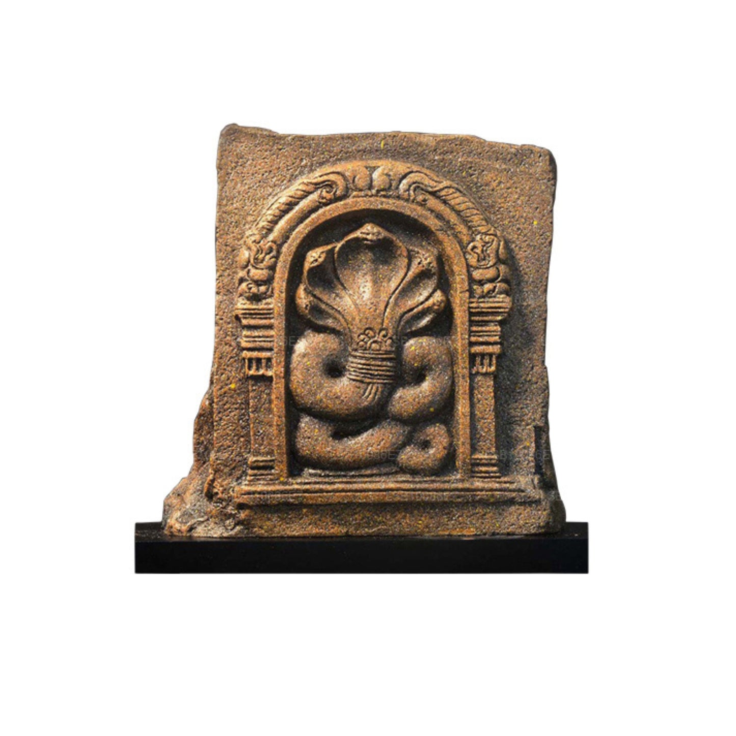 NHRC Five Hooded Cobra - Anuradhapura