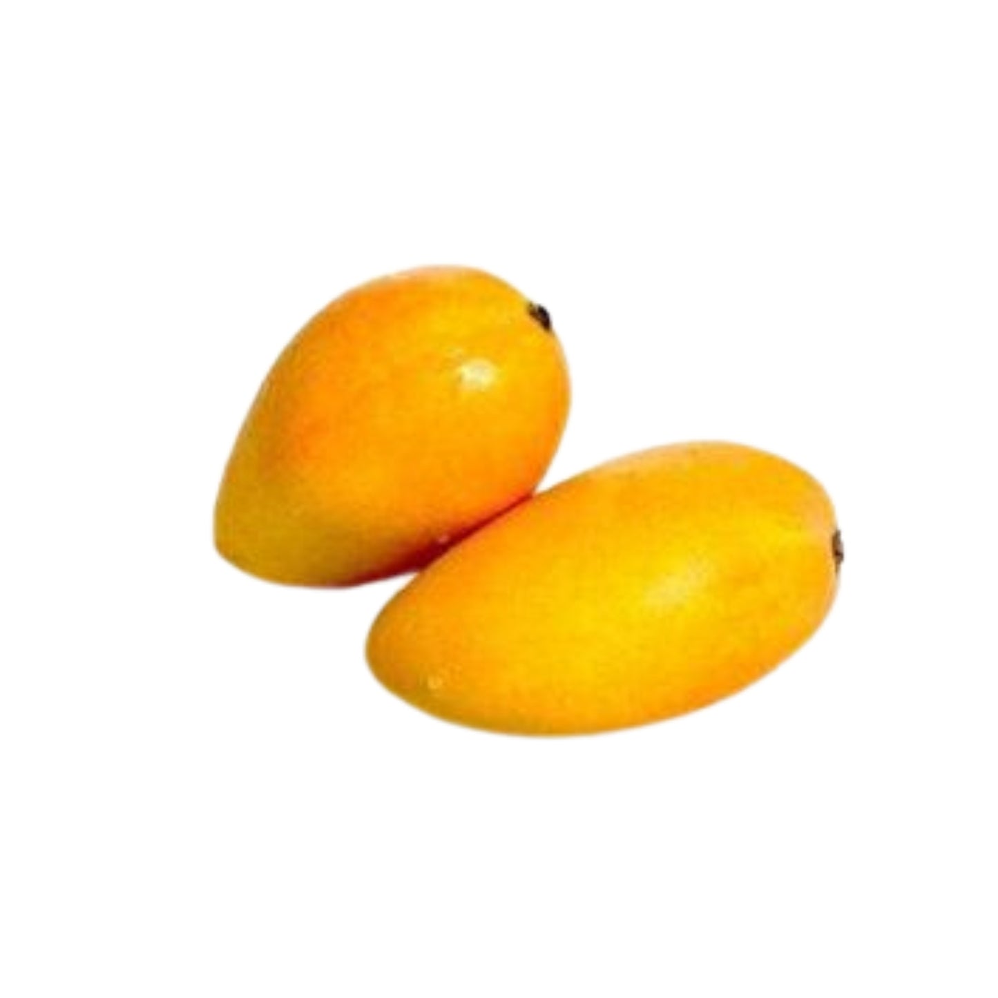 Lakpura® Alponsu Mango Grafted Plant