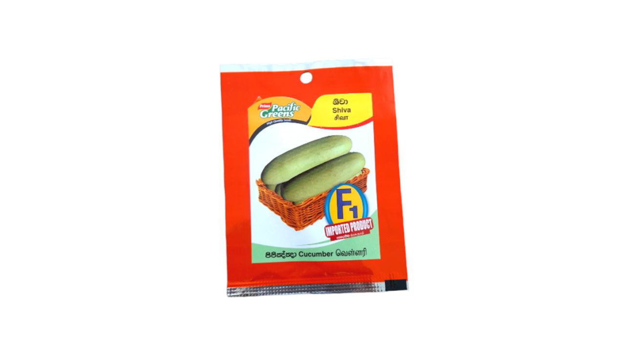 Lakpura Cucumber Seeds