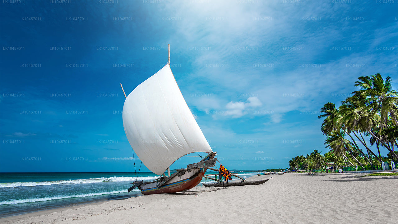 වෙරළ සහ නගරය (දින 4)