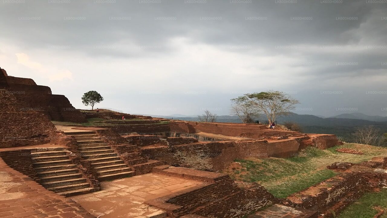 Sigiriya, Dambulla and Village Tour from Colombo