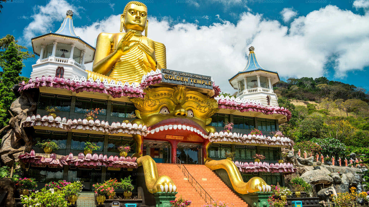 Sigiriya, Dambulla and Village Tour from Colombo
