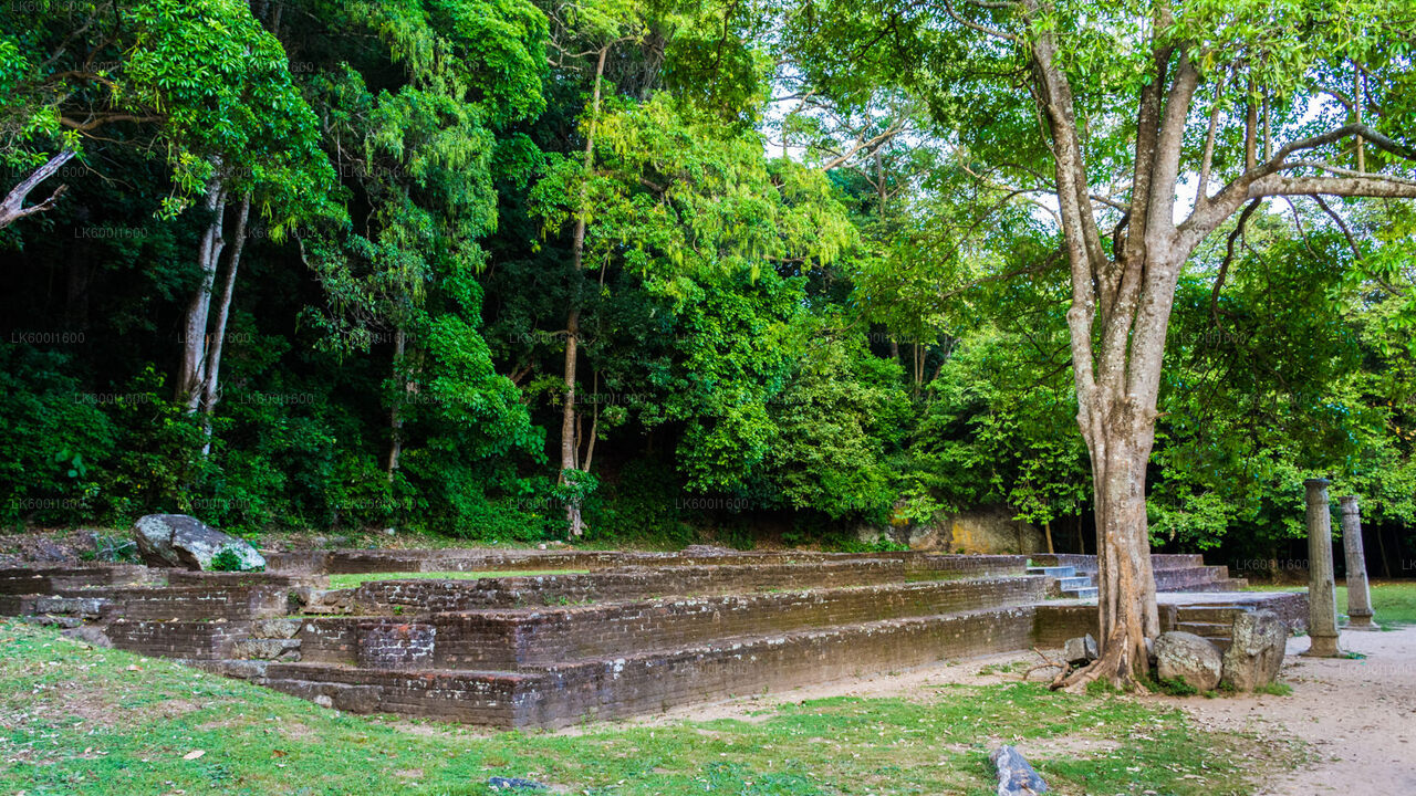 Yapahuwa Ancient Kingdom from Dambulla
