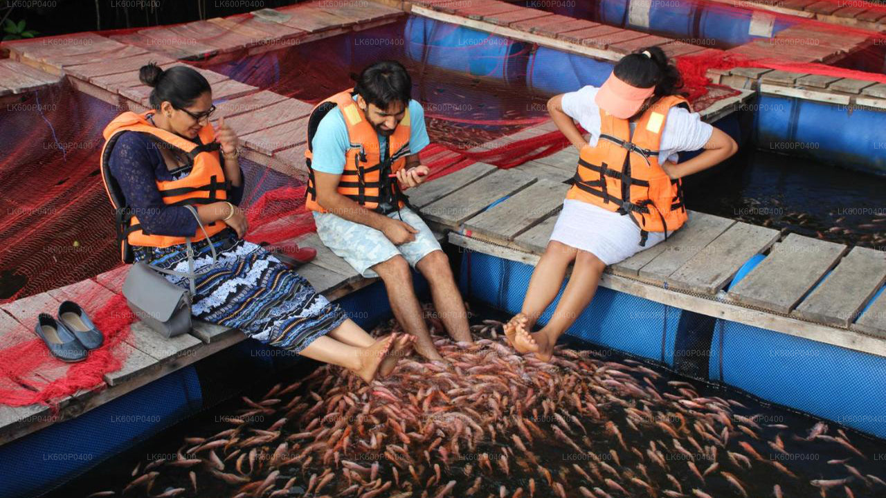 ගාල්ලේ සිට බෙන්තොට නගර චාරිකාව