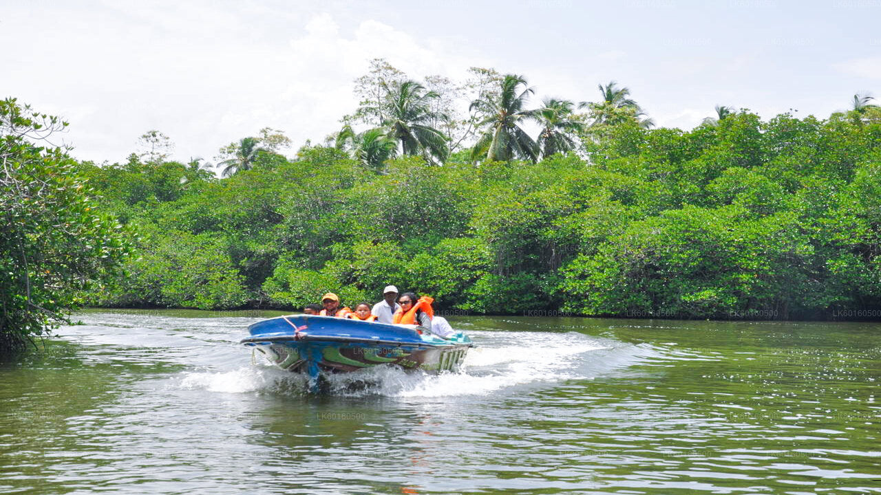 Bentota City Tour from Kalutara