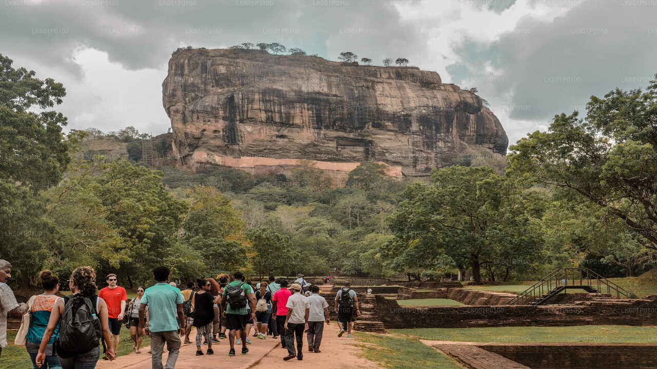 Sigiriya and Dambulla from Negombo