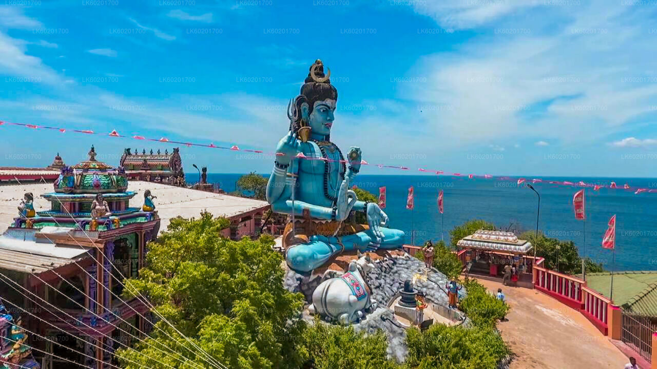 Trincomalee City Tour from Sigiriya