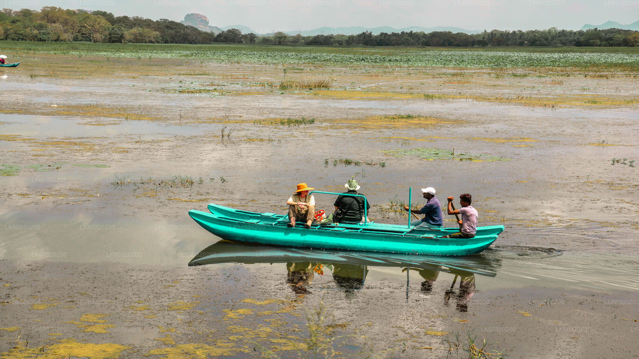 හබරණ සිට සීගිරිය ගම්මානයේ චාරිකාව