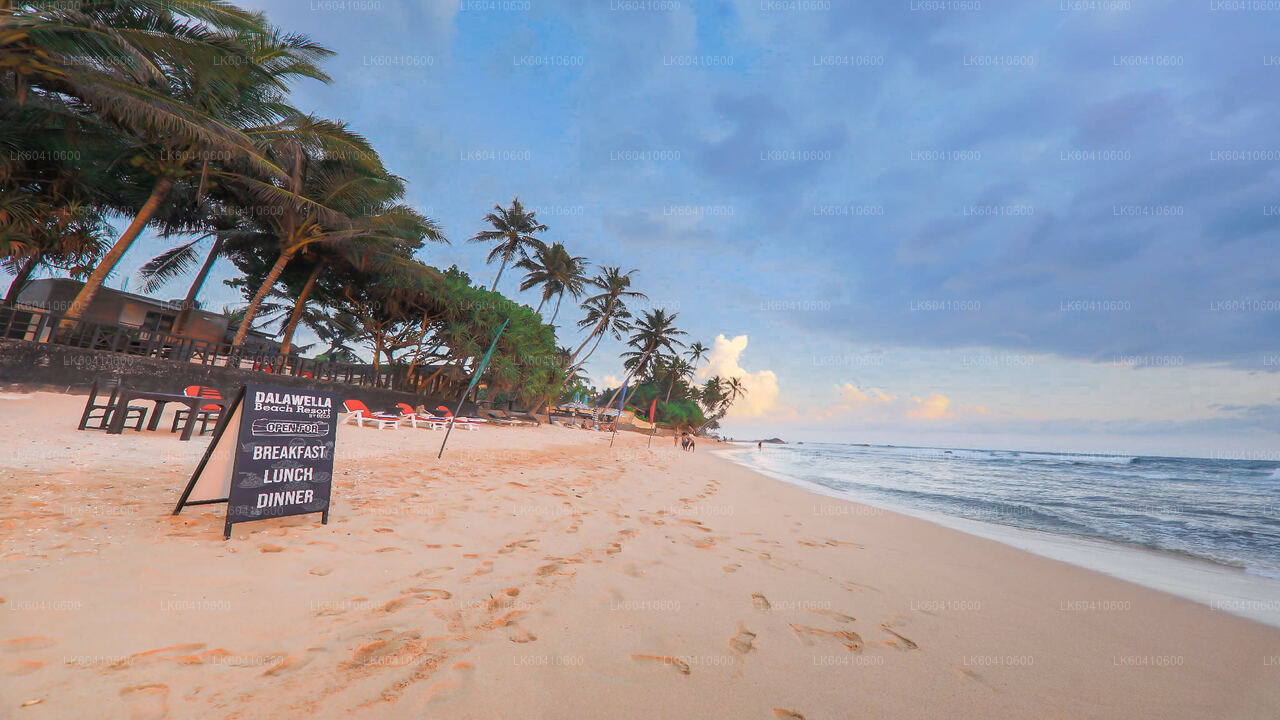 උණවටුන සිට සැඟවුණු පන්සල් සහ හුදකලා වෙරළබඩ සංචාරය