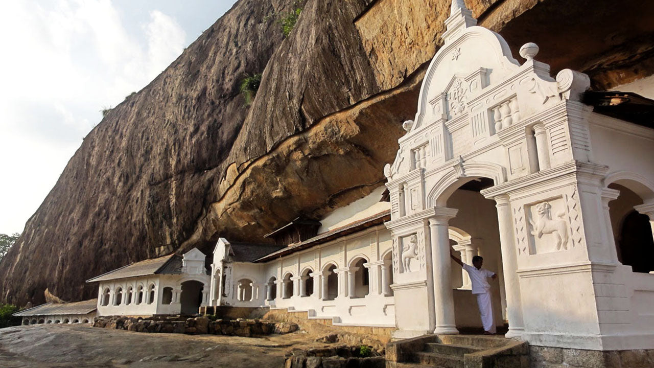 Sigiriya Rock and Wild Elephant Safari from Dambulla
