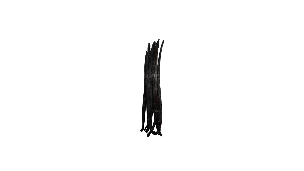 Lakpura Sri Lankan (Ceylon) Grade "A+" Natural Vanilla Beans