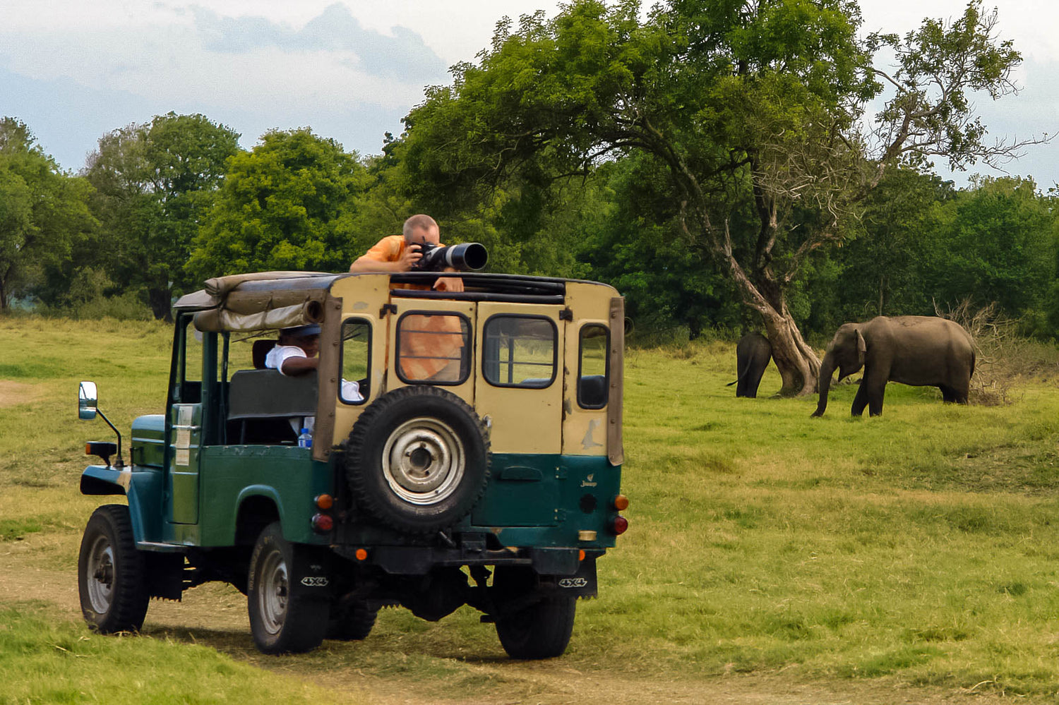 Safari