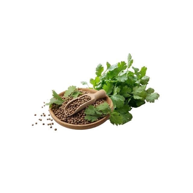 Coriander Products