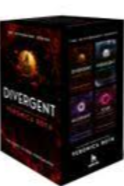 The Divergent Series