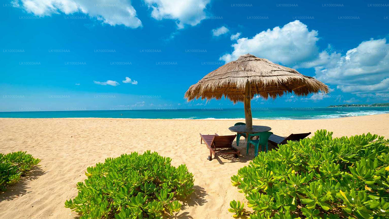 මහේෂ් අබේරත්න සමඟ ශ්‍රී ලංකාව සොයා ගන්න