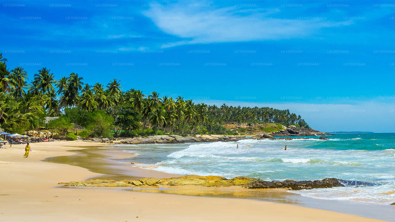 මහේෂ් අබේරත්න සමඟ ශ්‍රී ලංකාව සොයා ගන්න