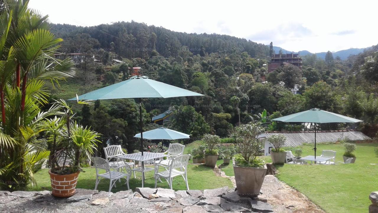 Hotel Alta Vista, Ella