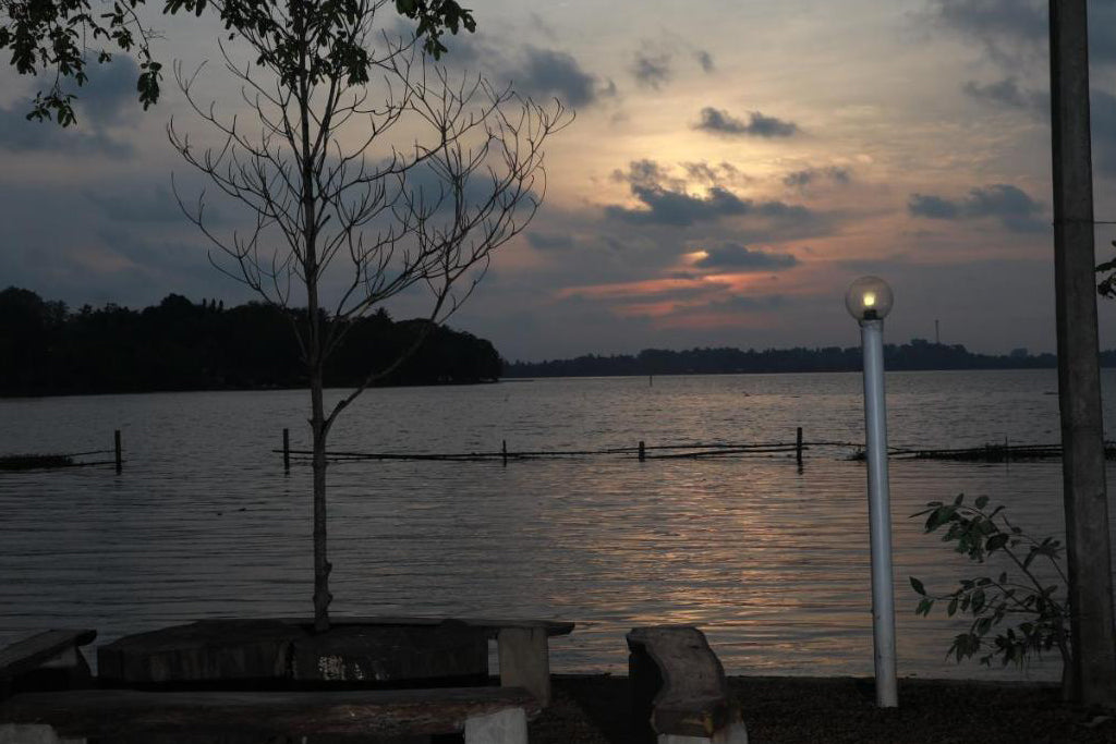 Dampe Village, Piliyandala