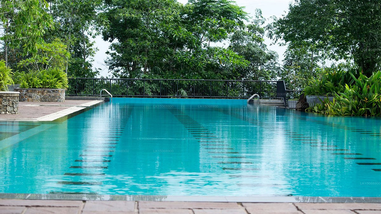 The Nature Lover's Inn, Horana