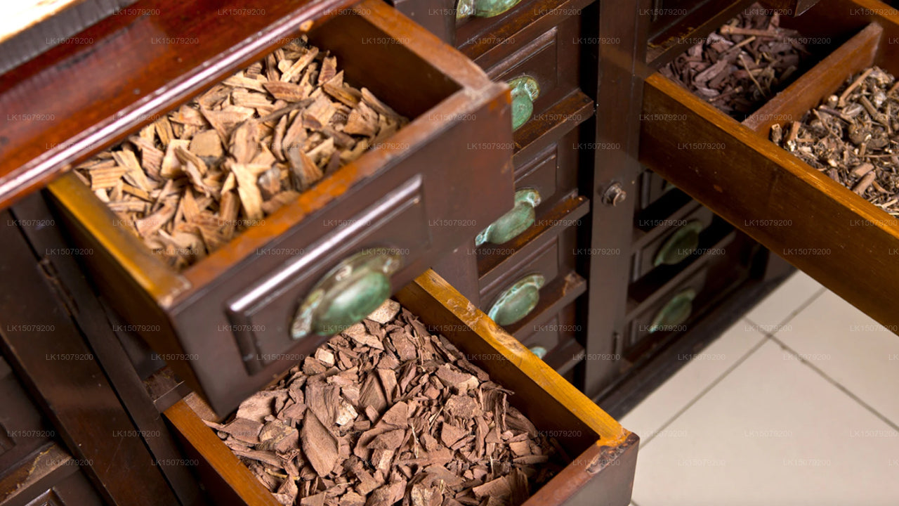 Hotel Ayurveda Paragon, Talpe