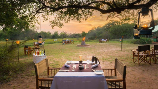 Mahoora Safari Camping, Wilpattu