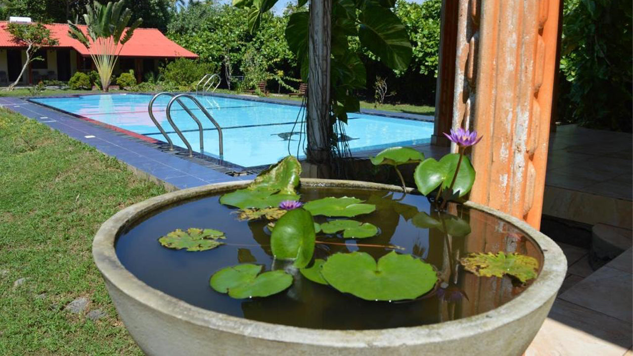 Zum Deutschen, Bentota