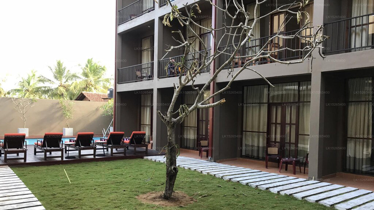 Waves By Tranquil, Negombo