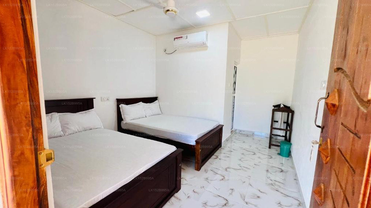 Coconut Leaf Shadow Guest, Nilaveli