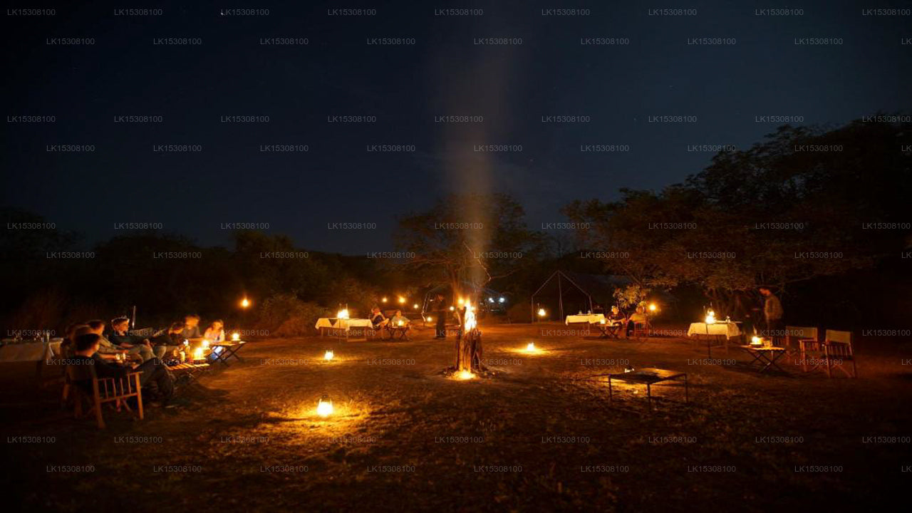 Eco Team Safari Camps, Yala