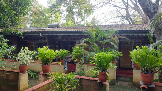 Udawalawe Safari Vallage Hotel, Udawalawe