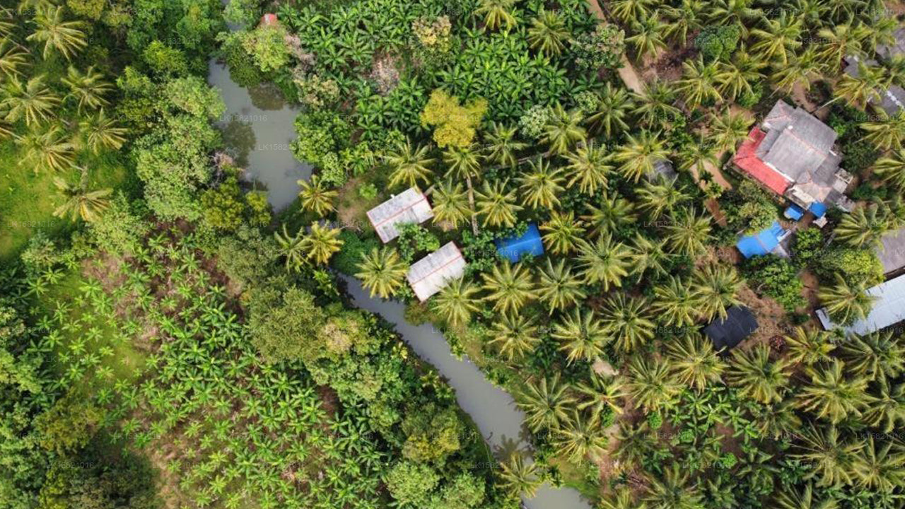 Wild Lake Side Holiday Resort, Udawalawe