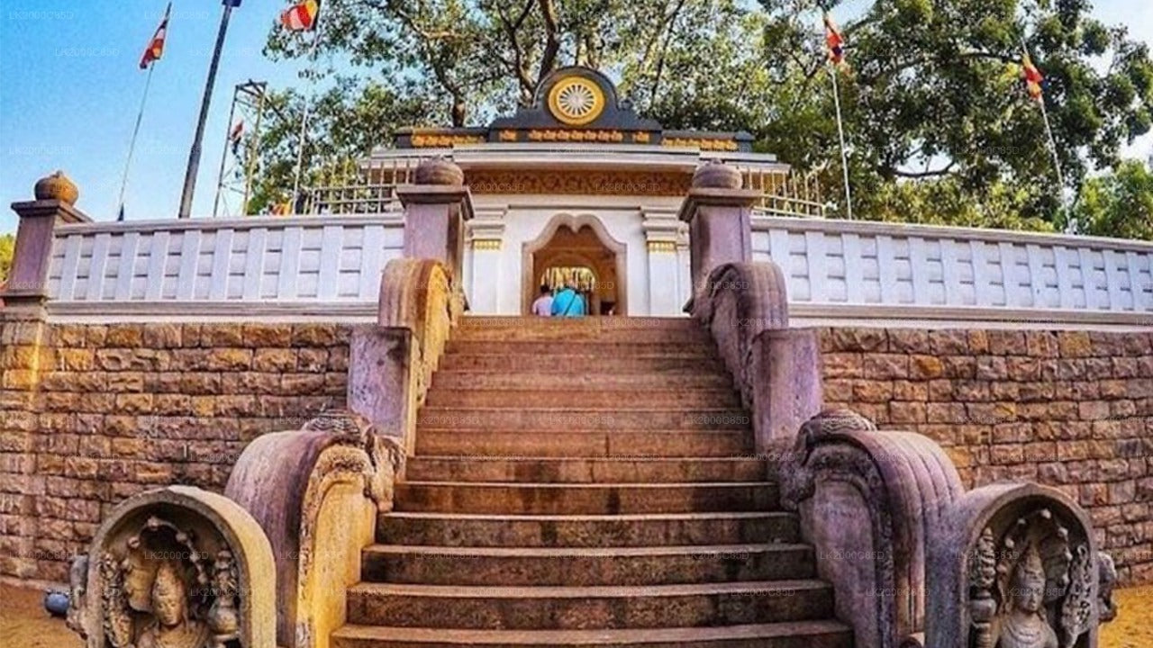 ප්‍රවේශ පත්‍ර සමඟ අනුරාධපුර පූජා භූමි මාර්ගෝපදේශක චාරිකාව