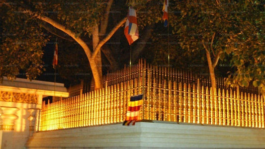 ප්‍රවේශ පත්‍ර සමඟ අනුරාධපුර පූජා භූමි මාර්ගෝපදේශක චාරිකාව